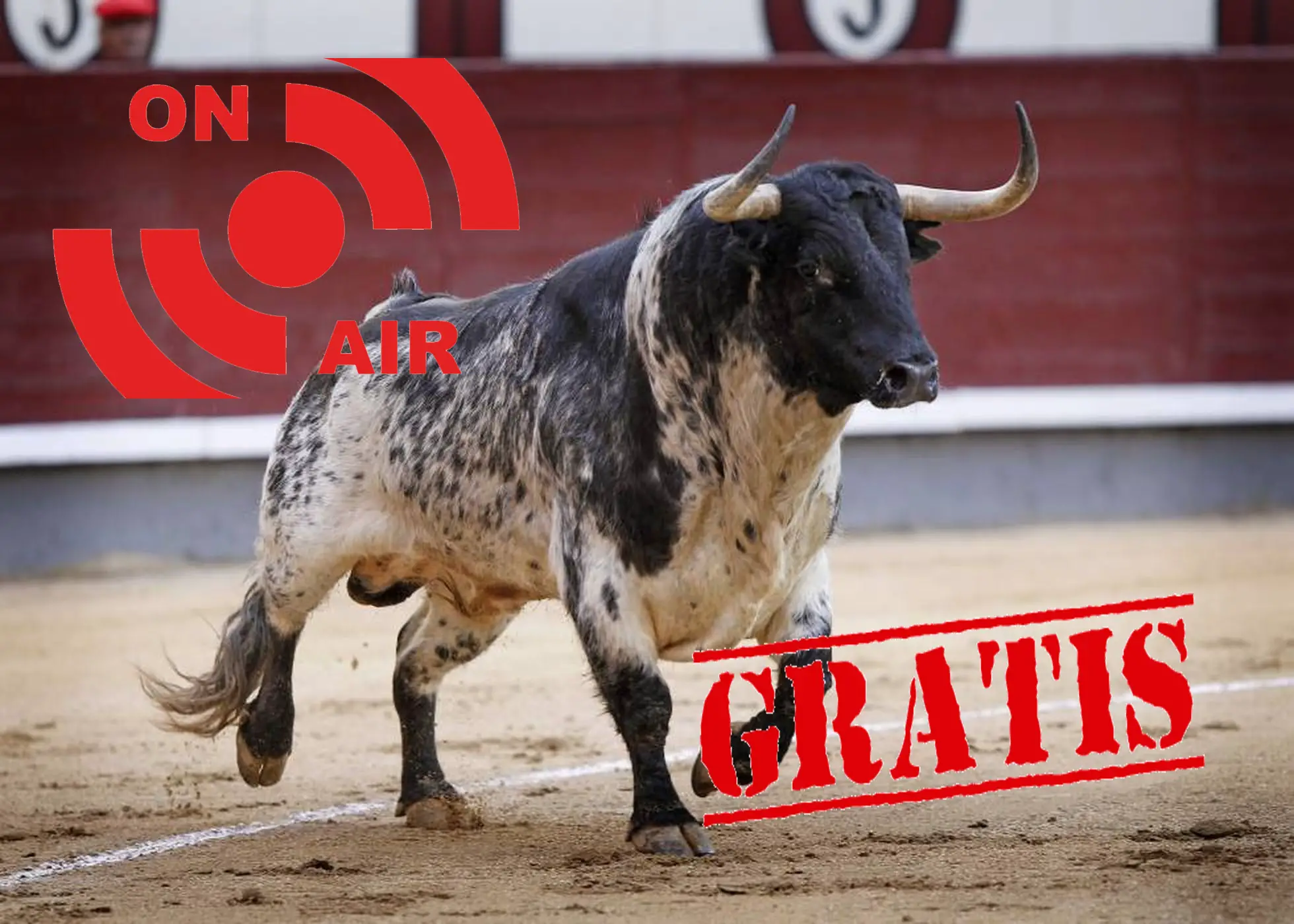 Mejores Páginas para Ver Toros Online 2021 en Directo GRATIS